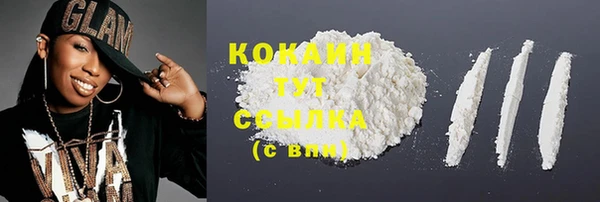 PSILOCYBIN Верхний Тагил