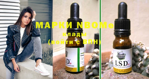 PSILOCYBIN Верхний Тагил