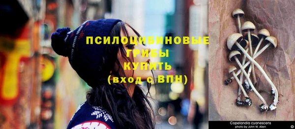 mix Верея