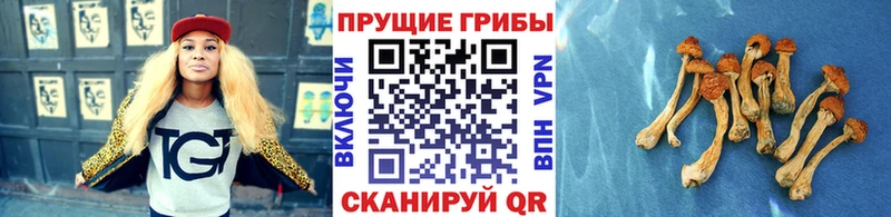 наркота  Белорецк  ссылка на мегу ссылка  Псилоцибиновые грибы мухоморы 